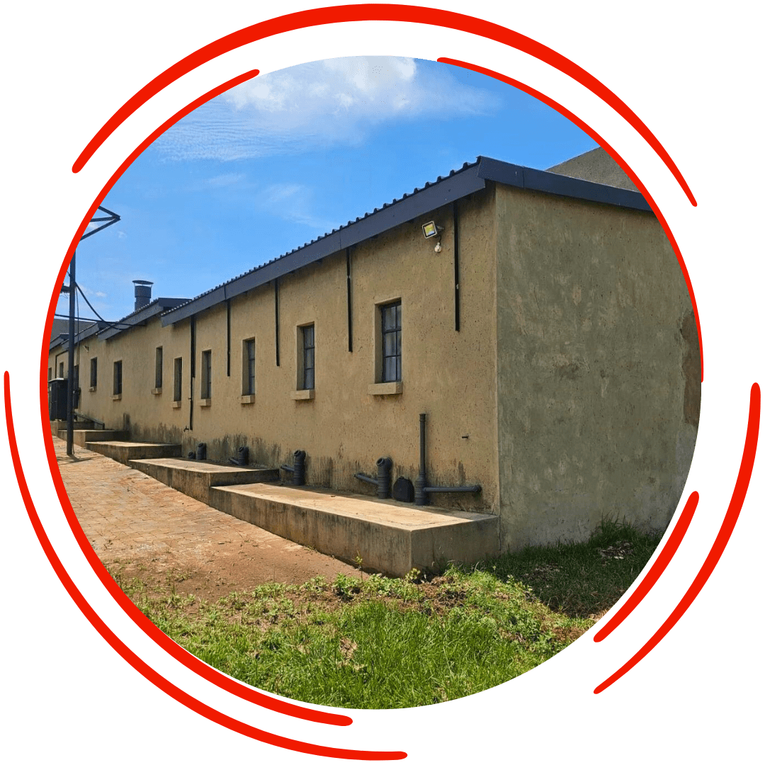 hostels